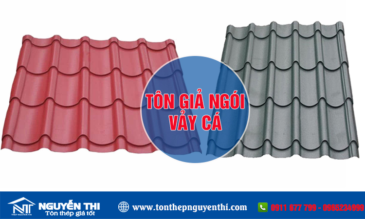 Tôn giả ngói vảy cá