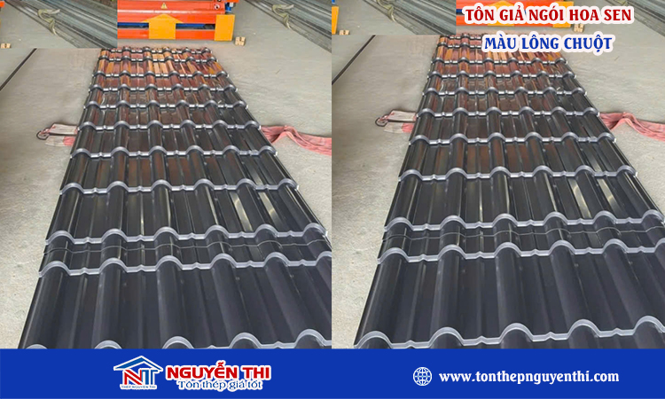 Tôn giả ngói hoa sen màu lông chuột