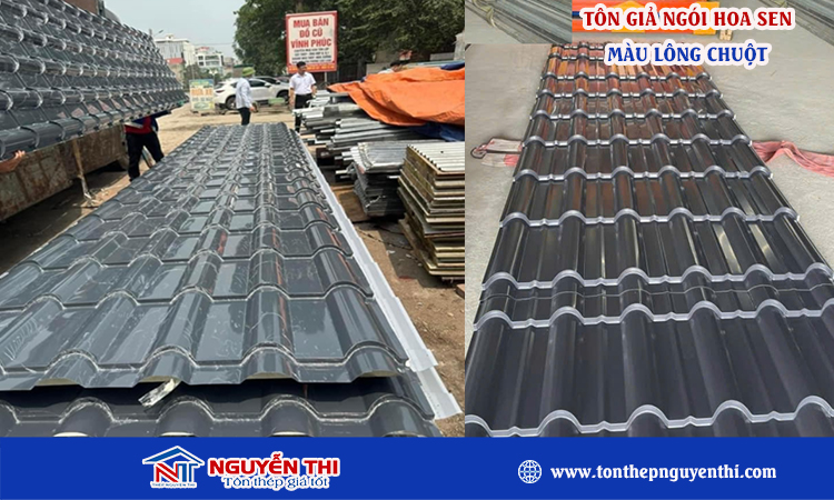 Tôn giả ngói hoa sen màu lông chuột
