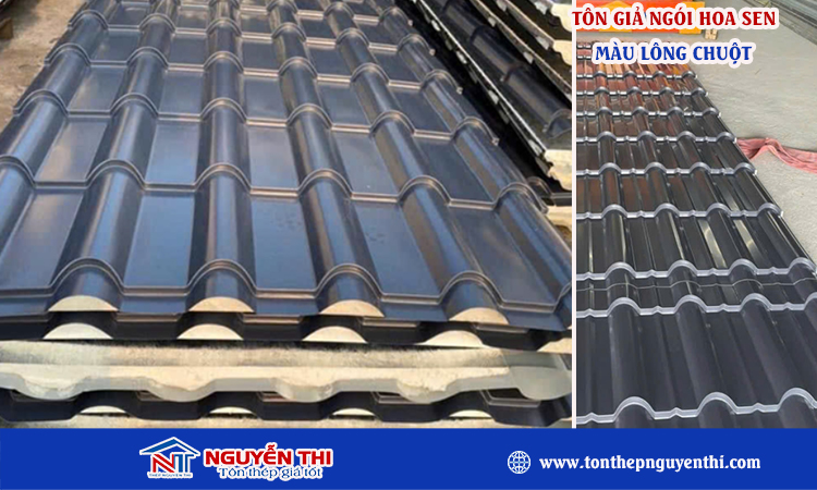 Tôn giả ngói hoa sen màu lông chuột