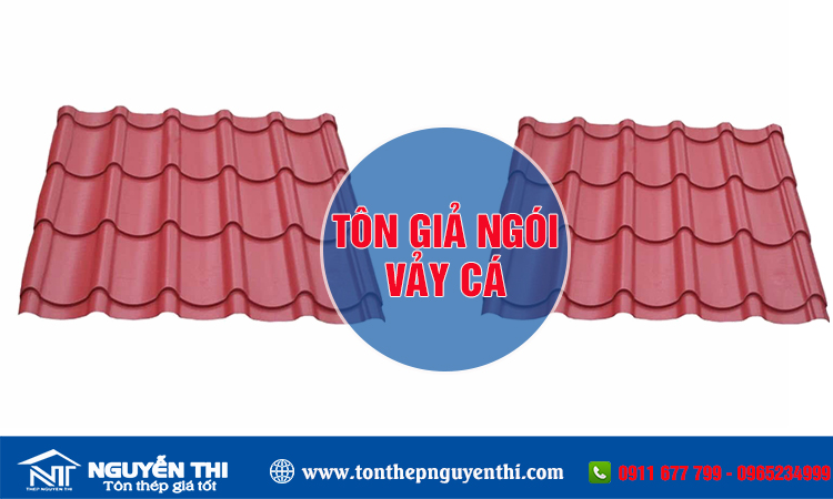 Tôn giả ngói vảy cá