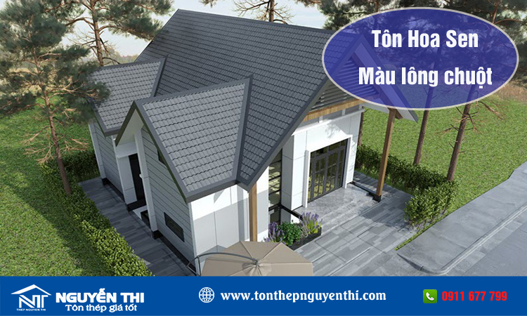 Tôn hoa sen màu lông chuột