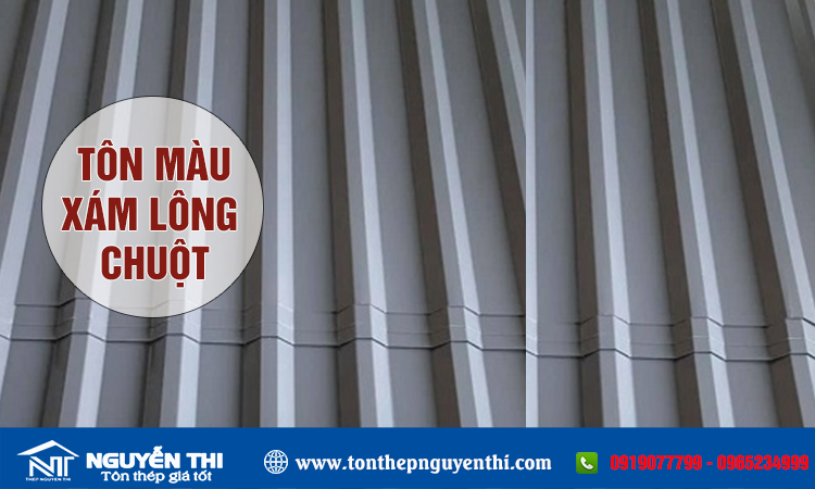 Tôn màu lông chuột