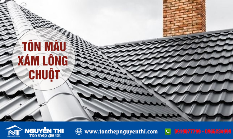 Tôn màu lông chuột