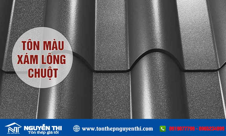 Tôn màu lông chuột